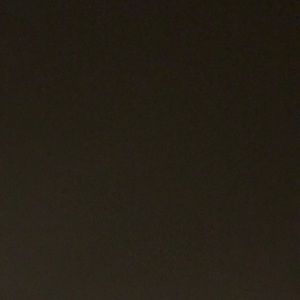 Meet your Posher, Molly